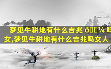 梦见牛耕地有什么吉兆 🌼 吗女,梦见牛耕地有什么吉兆吗女人